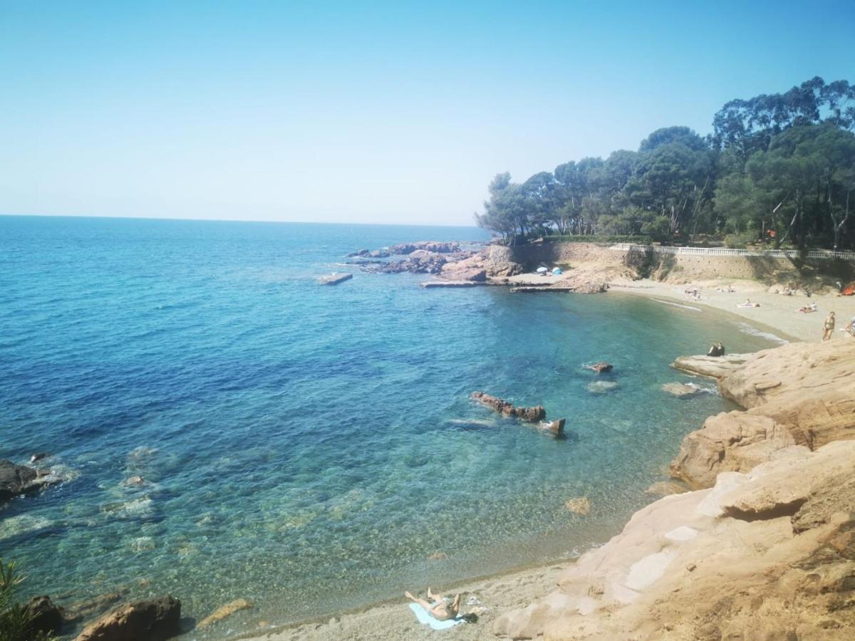 Mobil Home Neuf Camping L Ile Dor Plage St Raphael Avec Piscine Saint-Raphaël Dış mekan fotoğraf